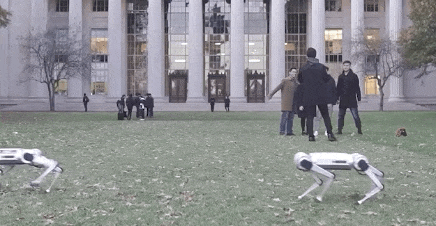 一群机器狗亮相MIT，集体后空翻、踢足球，网友：赶紧去看黑镜压压惊