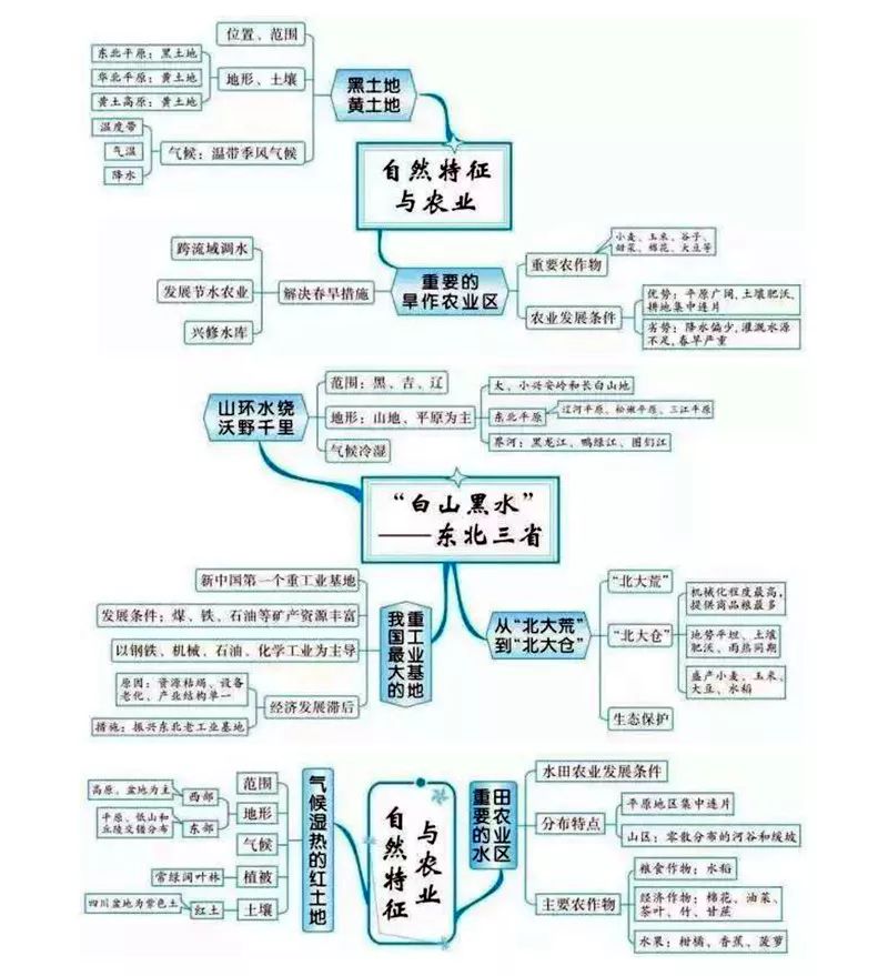 怎么才能快速背完思维导图 714416cedc0740a6a4d381a42580c9bc.jpeg