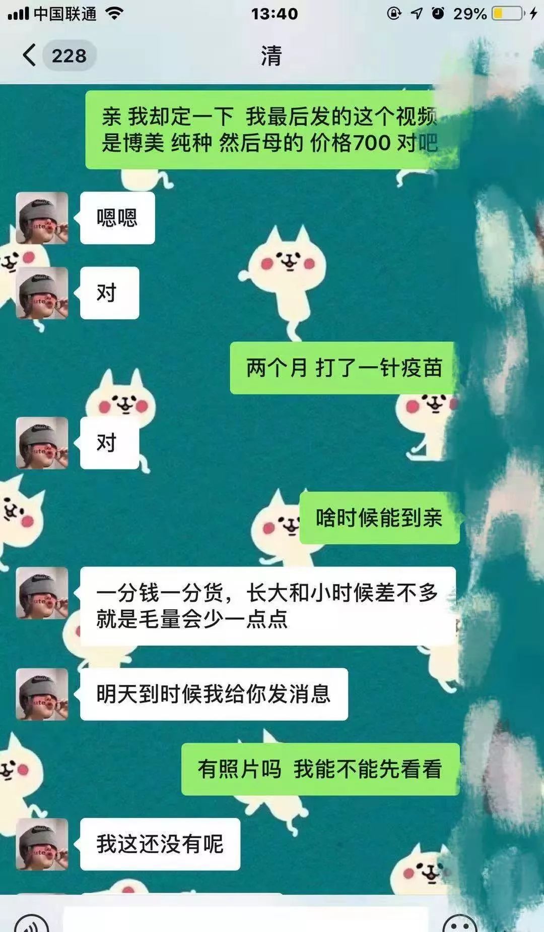 天水一女子爱狗心切,狗财两空.