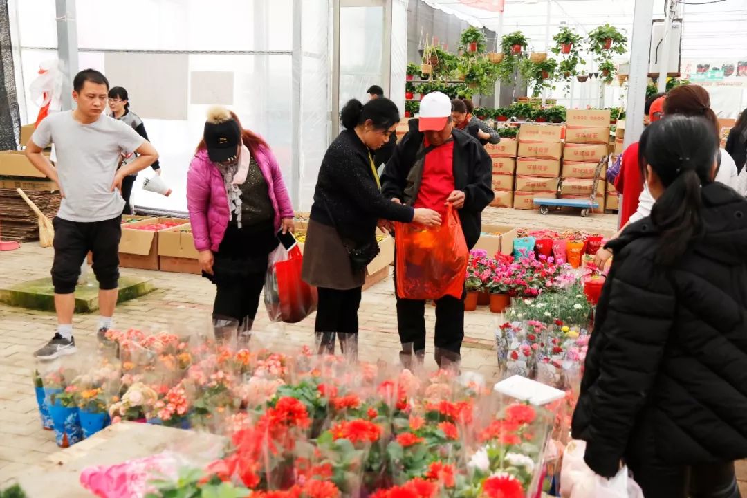 爱必达总代理,广州缤纷广州吉宏园艺,福建永福杜鹃盛芳花卉市场中的