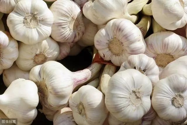 现在可以种大蒜吗10月 97fc1ba89e714090ac45c82d84a597a4.jpeg
