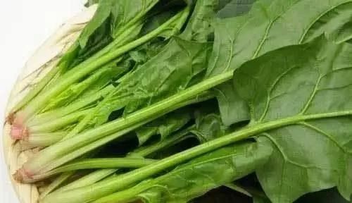 吃什么菜能消炎症 ab9b159e057e4b1ba60574fb553bb764.jpeg