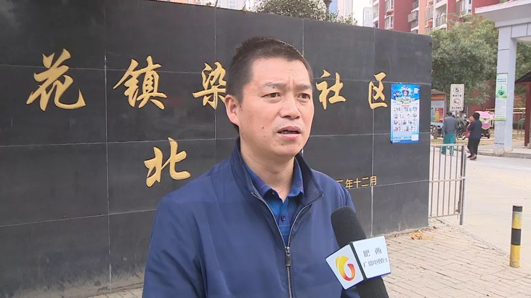 肥西县桃花镇人大主席 周宗云李延杰是桃花镇染坊社区一期安置点的