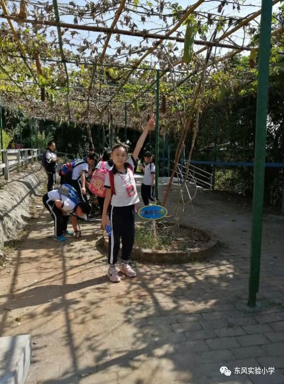 广州市天河区东风实验小学开展秋季校外实践活动简讯