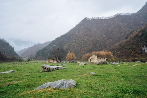 牧场多少人口_奶牛图片牧场