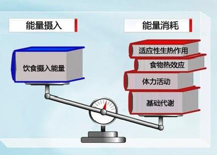 行动减肥_减肥行动视频教程_减肥行动的最佳光阴