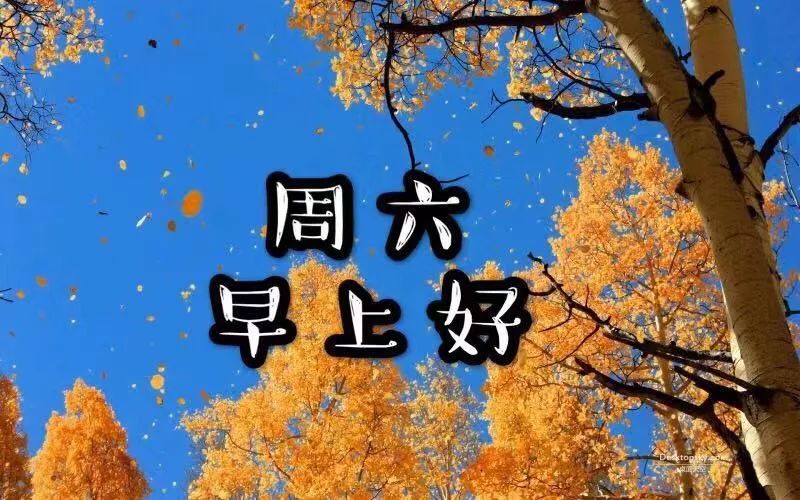 周六最新漂亮早上好动态美图鲜花带字,早晨好幸福暖心