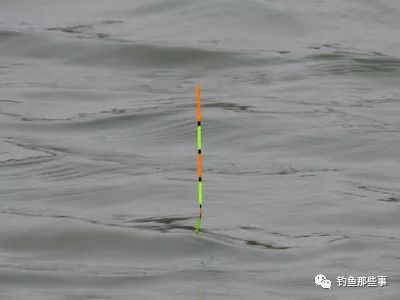 精细调漂方法,原来高手都是这样调漂的!