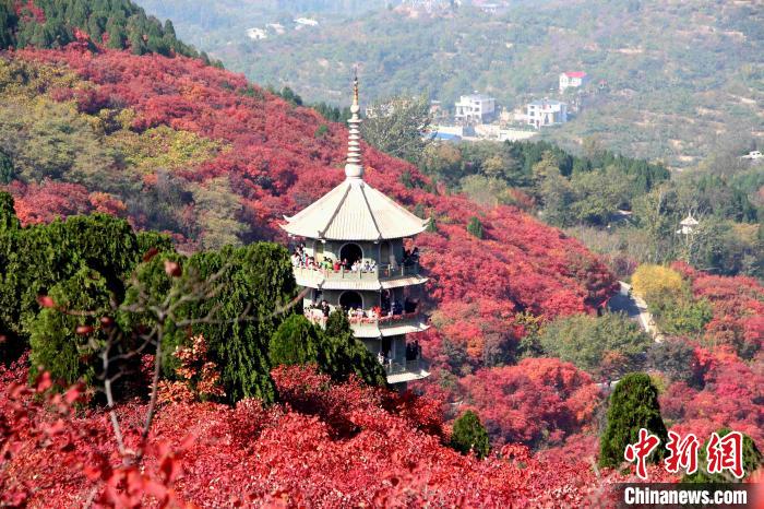 冬游齐鲁·好客山东惠民季在济南启动邀民众畅游“诗与远方”