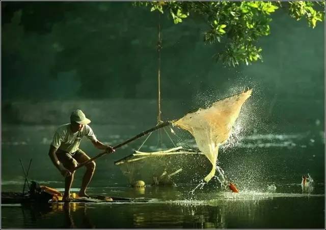 已婚男子的梦境捕鱼，捕捉生活之鱼的隐喻与反思