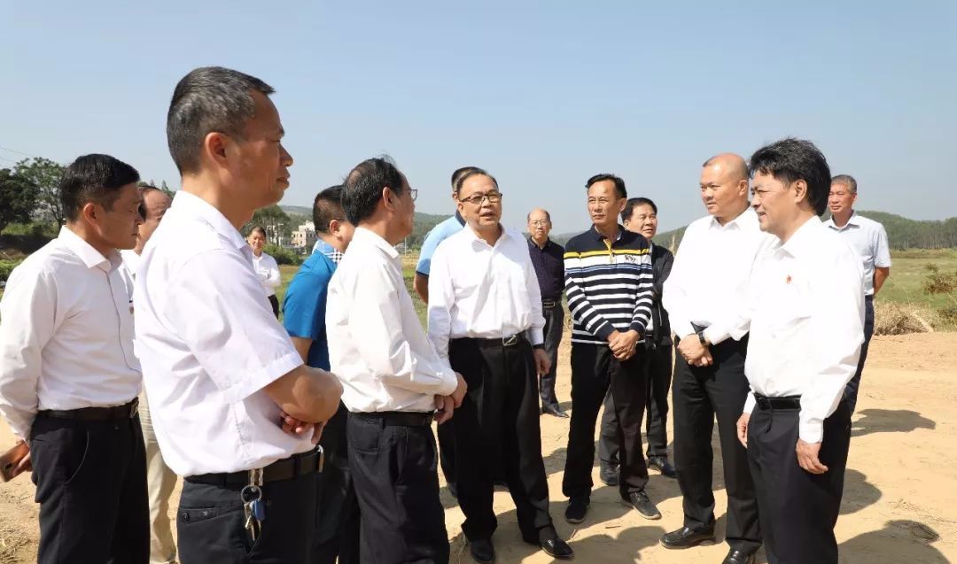 随后,邓振新一行来到石角西桥调研鹤地水库水浮莲清理情况.