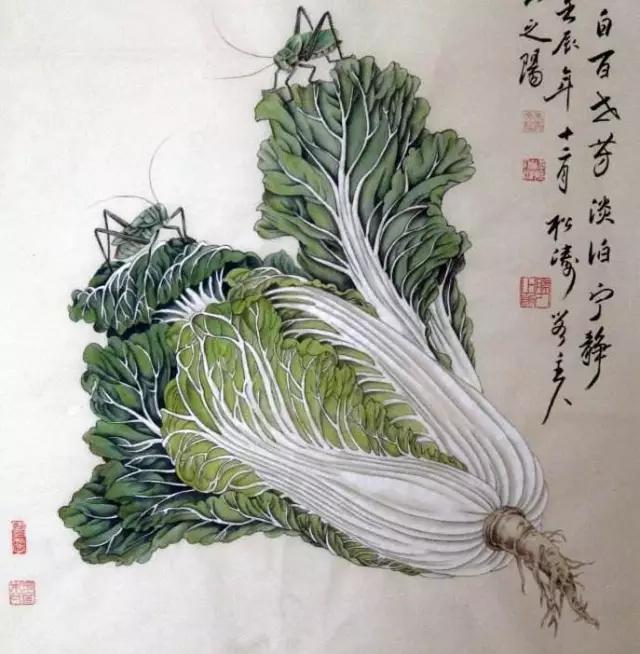 工笔画白菜 美不胜收