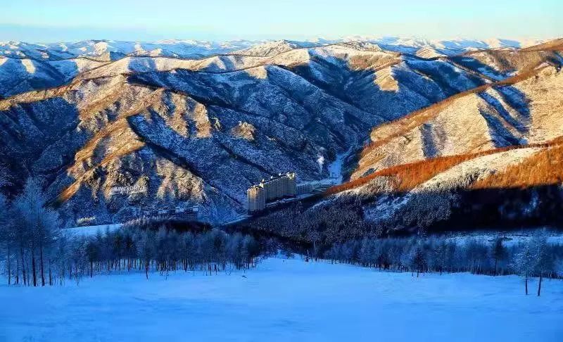 崇礼这个冬天的第一场雪美的像仙境