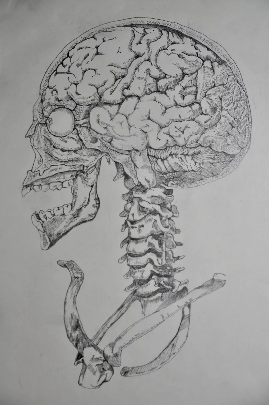 看完医学生的绘画大赛简直爱到骨子里了