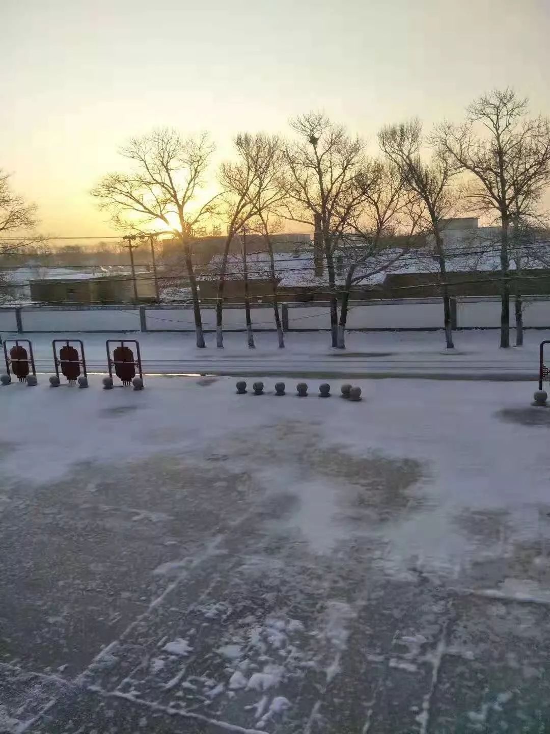 下雪刮风大降温,冷艳绝伦