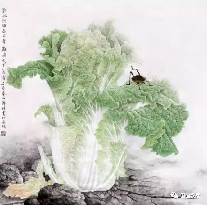 工笔画白菜 美不胜收