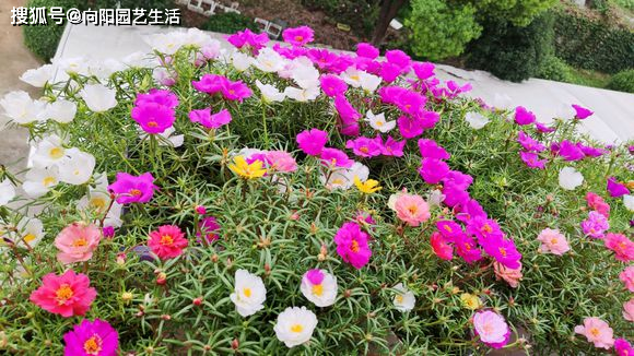 d88d076acc3949aa84ae8723e3e83b55.png