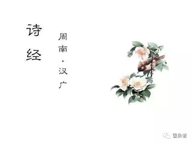 风,或泼辣,或讽刺,或含蓄,或蕴藉,纯朴真挚,生趣盎然;周南,召南,邶风