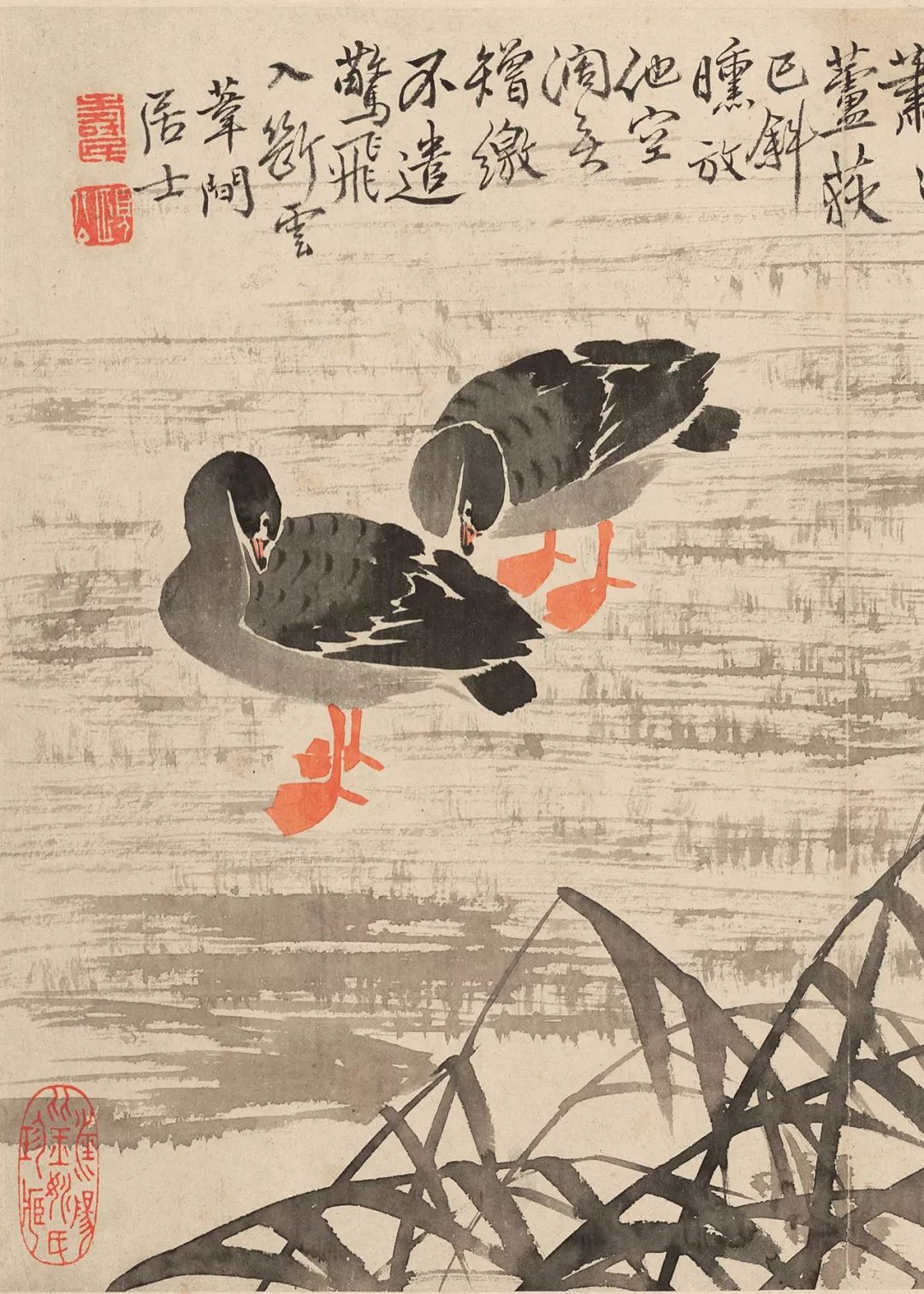 边寿民：自度前身是鸿雁，悲秋又爱绘秋声_芦雁