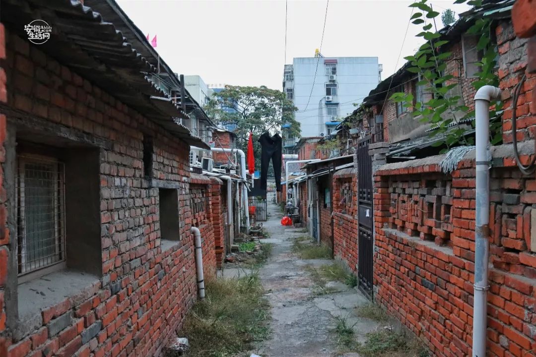 白水多少人口_白水杜康(2)