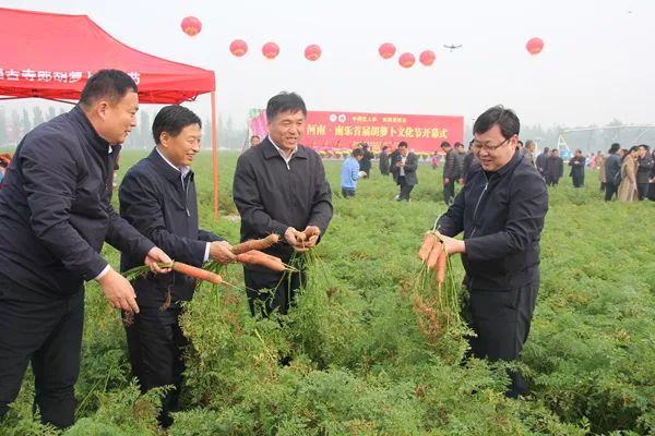 南乐县举办首届胡萝卜文化节现场图片流出