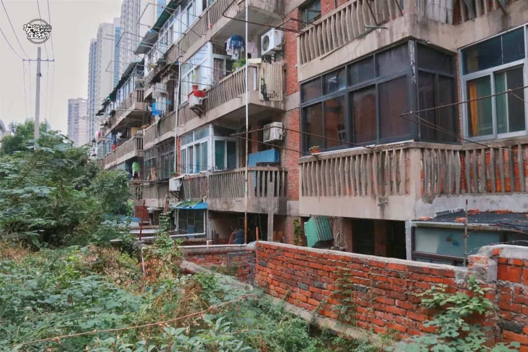 白水多少人口_白水杜康(2)