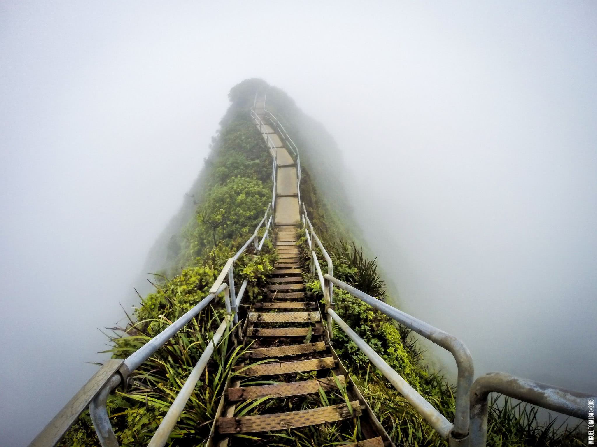 智利有多少人口_智利人口分布图(3)