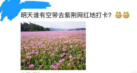 桂平紫荆人口_广西桂平紫荆山图