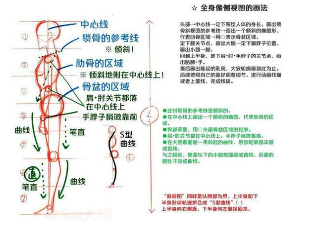 全身像侧视图的画 