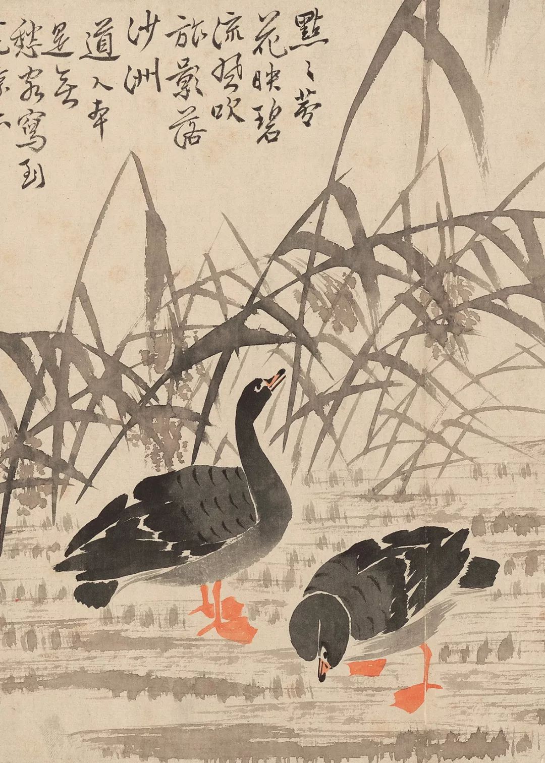 最新作 边寿民：自度前身是鸿雁，悲秋又爱绘秋声_芦雁 絵画/タペストリー