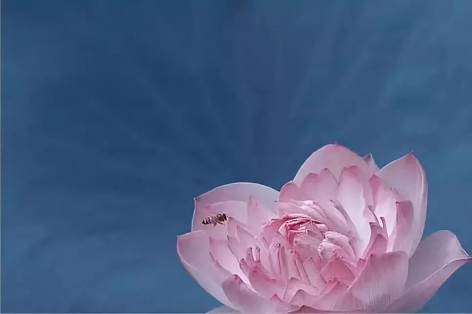 60首养生音乐，让人修心养性
