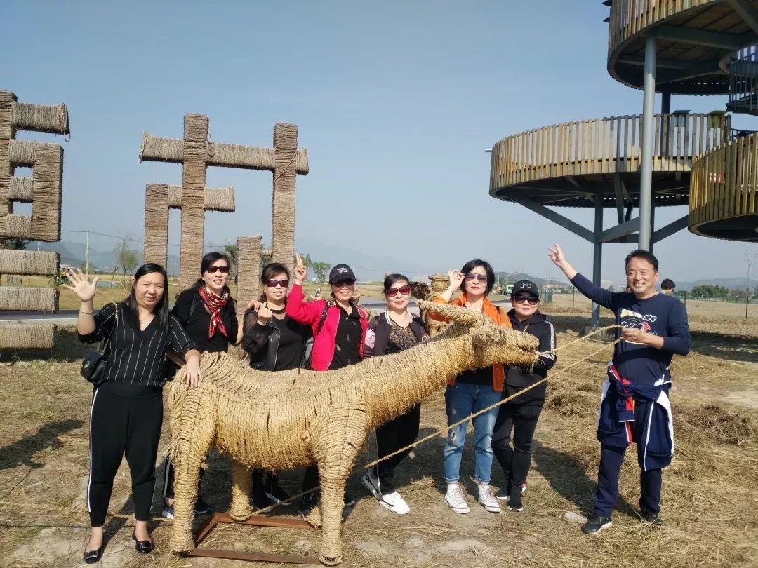 瑞安曹村多少人口_瑞安曹村天井垟风景区