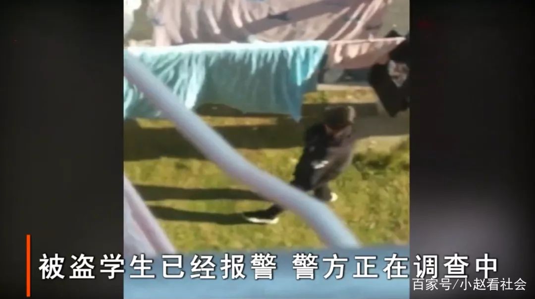 学校女性内衣被盗视频_内衣内裤被盗图片(3)