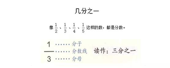 小学数学丨教师资格证面试教案实例:几分之一_分数