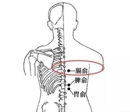 胆什么壮成语_成语故事图片(3)