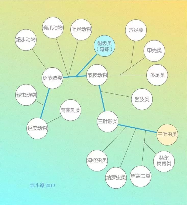 如果你在寒武纪，要怎么才能生存下去？