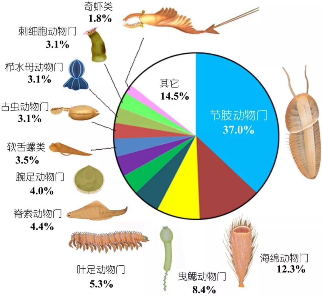 如果你在寒武纪，要怎么才能生存下去？