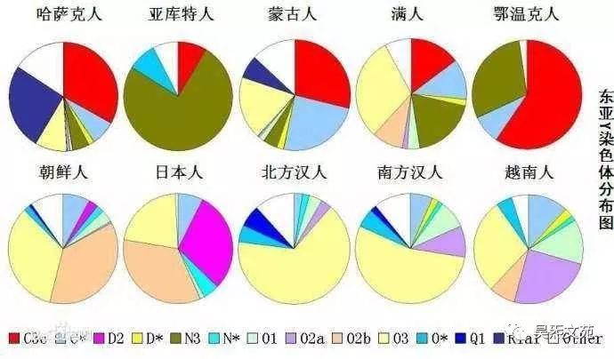 分子人类学证明—汉族的血统超纯正