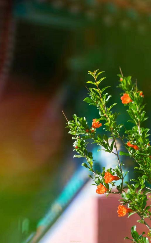 得之坦然,失之淡然,顺其自然!