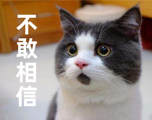 2019年马上就过完了,你的英语学得怎么样了?