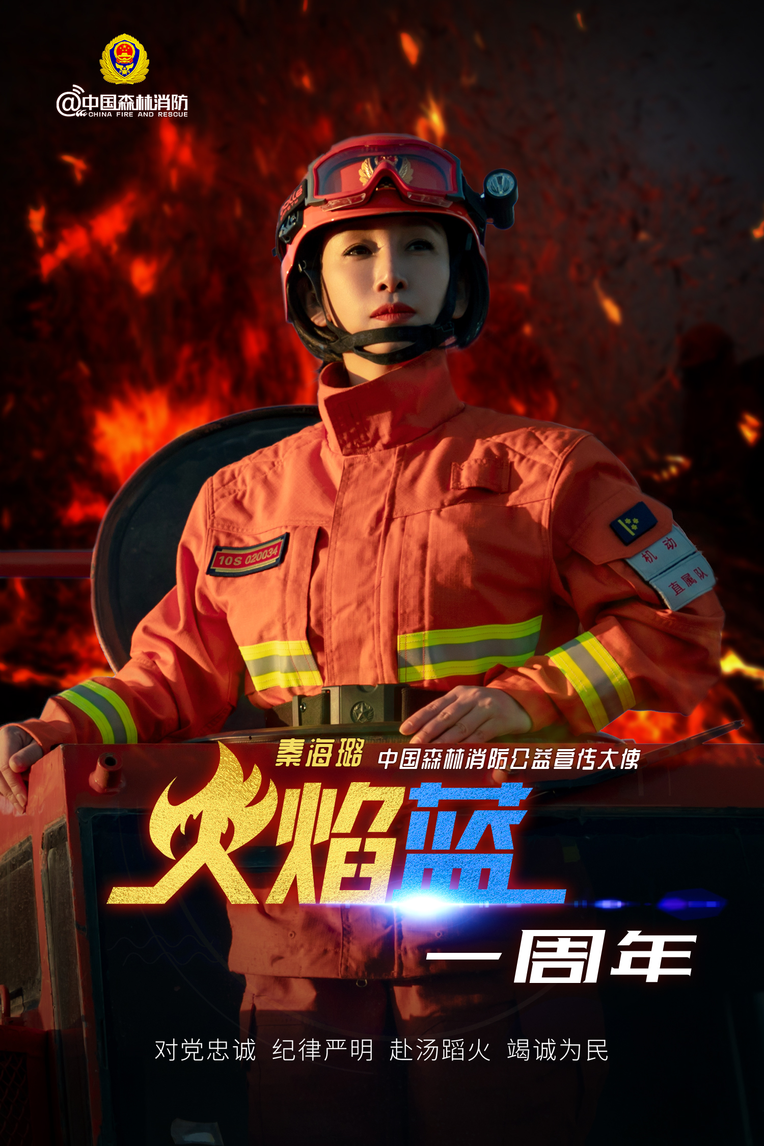 消防日官宣秦海璐正式担任中国森林消防公益宣传大使