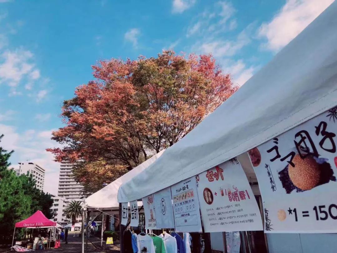 东京海洋大学留学攻略 | 全日本唯一一所只研究海洋类科学的高等院校