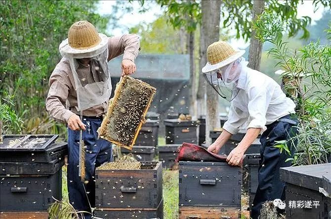 田姓有多少人口