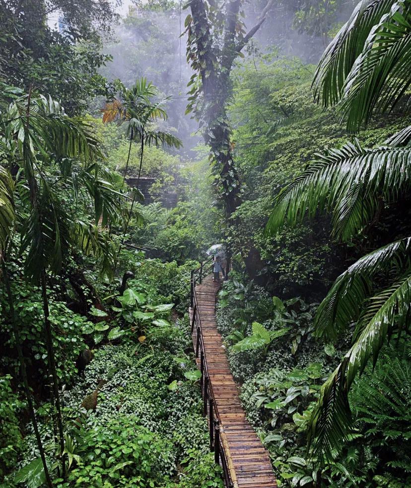 深圳的青青世界一定要带上ta去看热带雨林