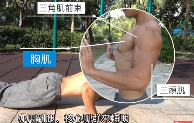 胸肌