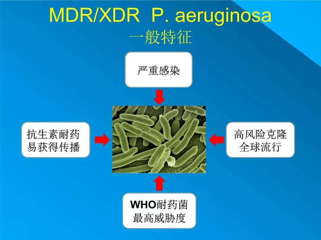 耐药铜绿假单胞菌流行病学特征及治疗策略