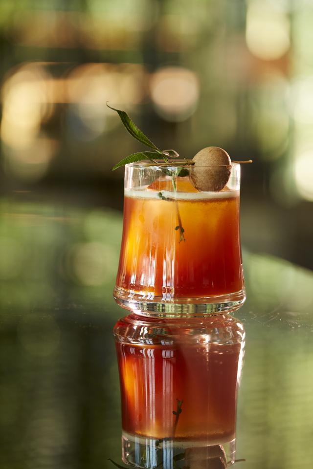 �����������Ƶ꽳�ĳ���2019������������������Ѳ�����