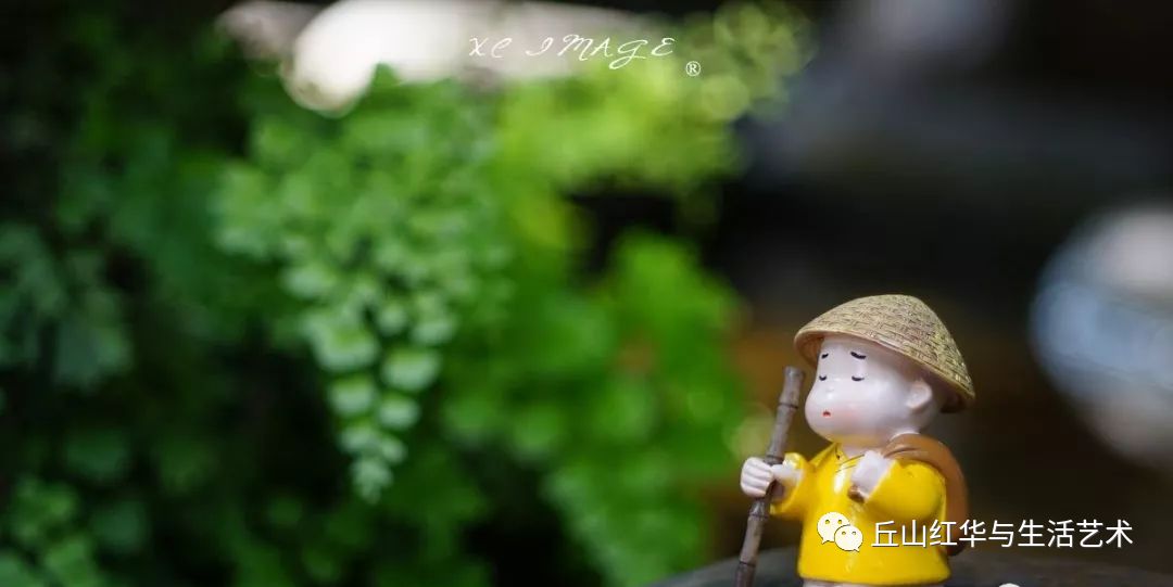 人生最大的苦,是有苦说不出