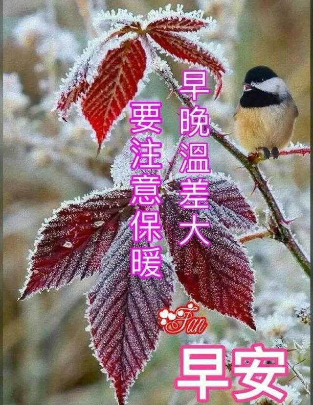 天气虽然多变,关怀永远不变:祝你快乐幸福到永远,早安