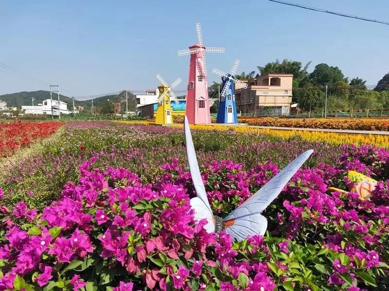 阳春市首届乡村旅游节也将于2019年11月13至16日在阳春市春湾镇高村